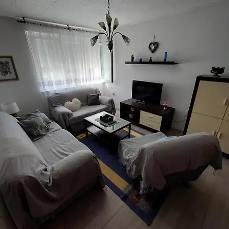 Apartment Ivanely *